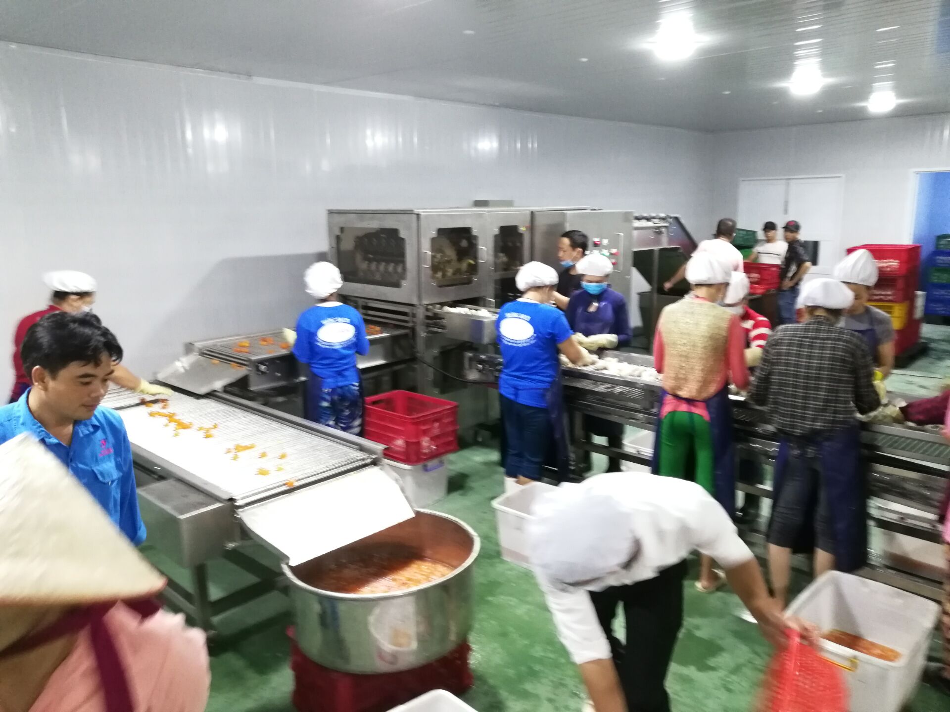 振野蛋黃加工設(shè)備在越南 振野蛋黃加工設(shè)備在越南