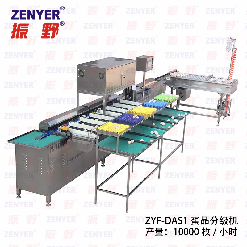 【振野產(chǎn)品推薦】ZYF-DAS1蛋品分級機(jī) 【振野產(chǎn)品推薦】ZYF-DAS1蛋品分級機(jī)