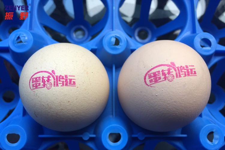 【振野產(chǎn)品推薦】高解析整盤蛋品噴碼機(jī) 【振野產(chǎn)品推薦】高解析整盤蛋品噴碼機(jī)