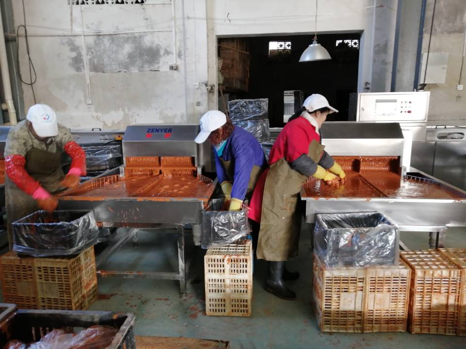 振野裂痕檢測分級機(jī)之公安藕池使用現(xiàn)場 振野裂痕檢測分級機(jī)之公安藕池使用現(xiàn)場