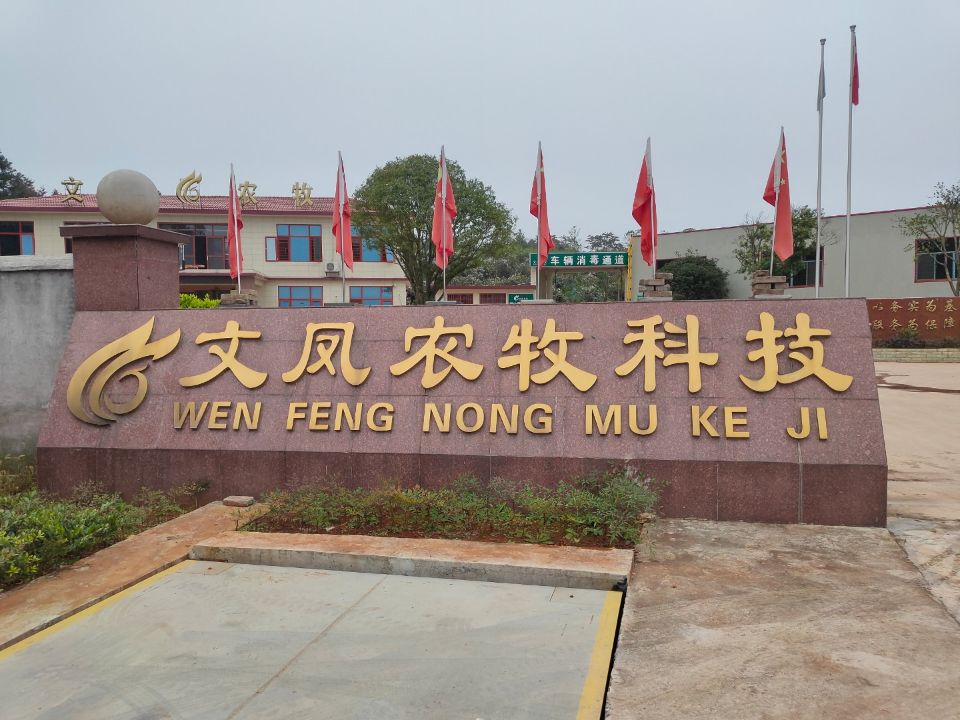 振野潔蛋生產(chǎn)線之雙峰文鳳使用現(xiàn)場 振野潔蛋生產(chǎn)線之雙峰文鳳使用現(xiàn)場