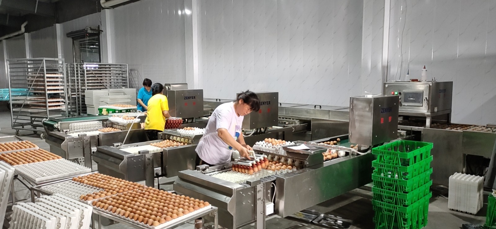 青島寶祺種蛋消毒清洗分級收集生產(chǎn)線應(yīng)用現(xiàn)場! 青島寶祺種蛋消毒清洗分級收集生產(chǎn)線應(yīng)用現(xiàn)場!